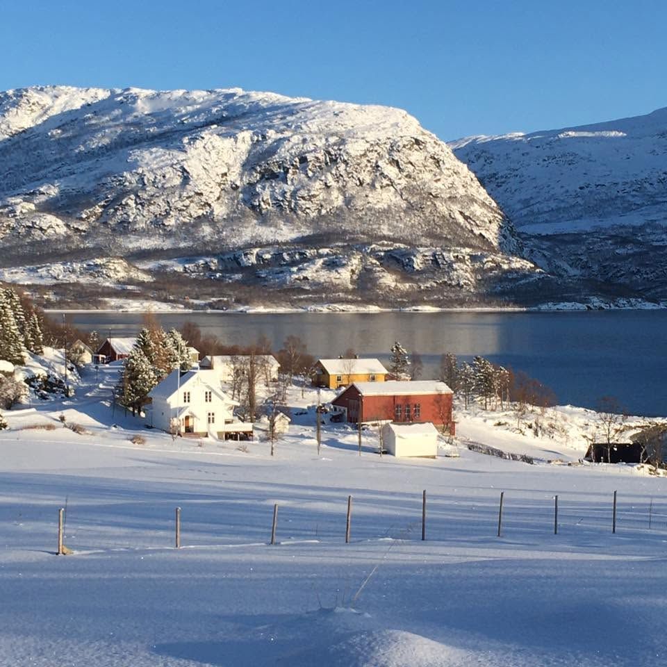 Steinvoll gård